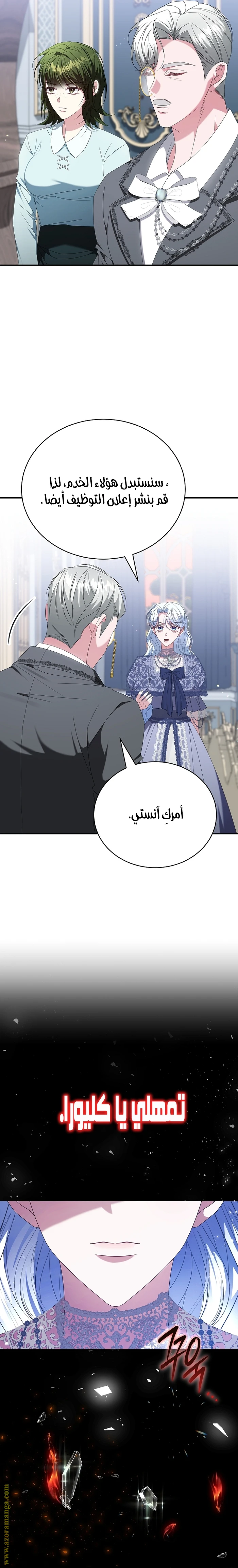 الصفحة 29