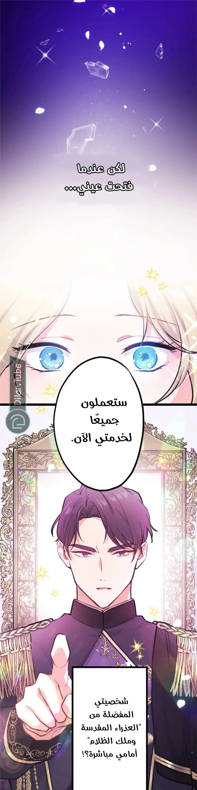 الصفحة 13