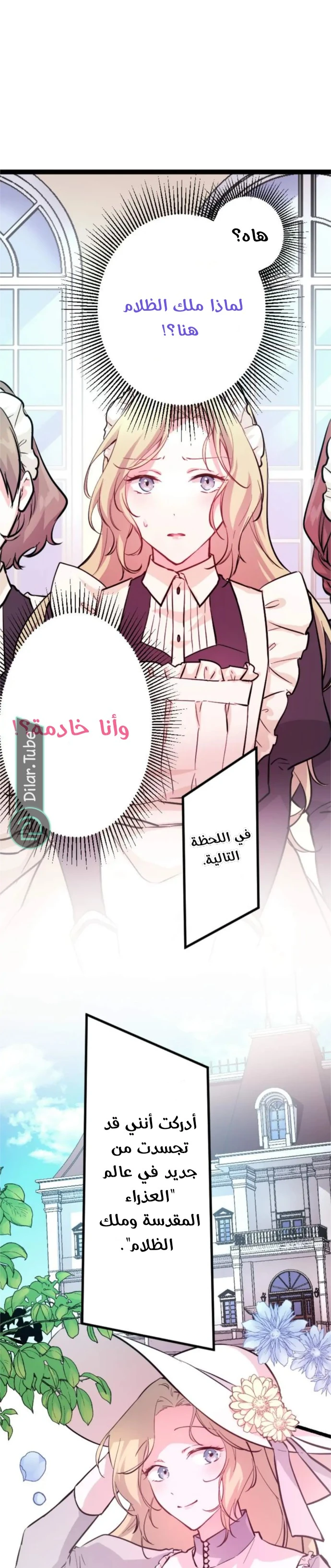 الصفحة 14