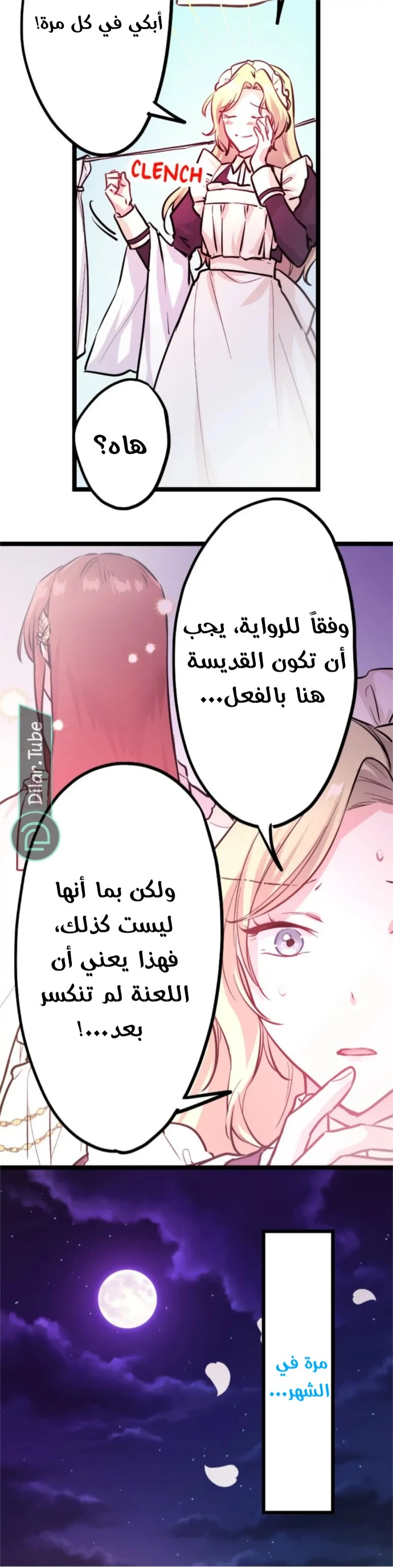 الصفحة 24
