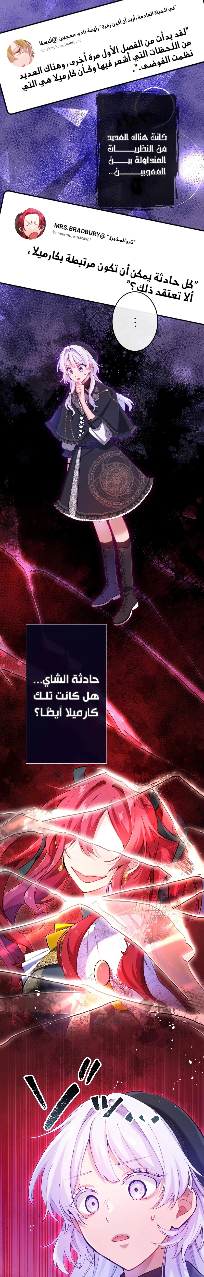 الصفحة 12