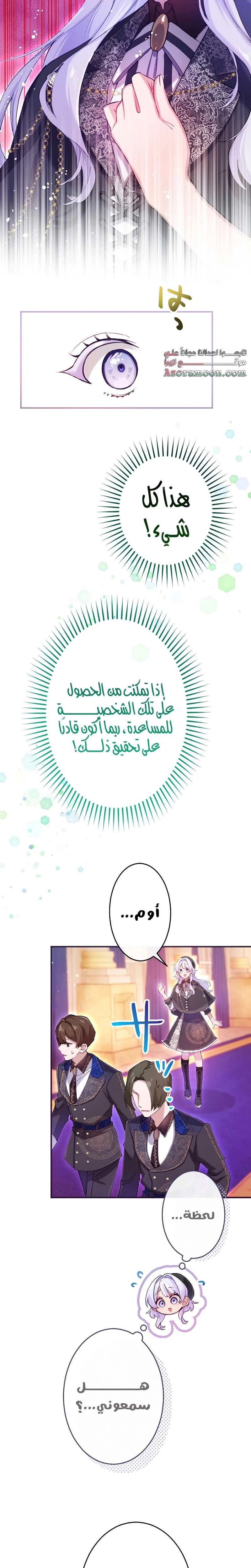 الصفحة 13