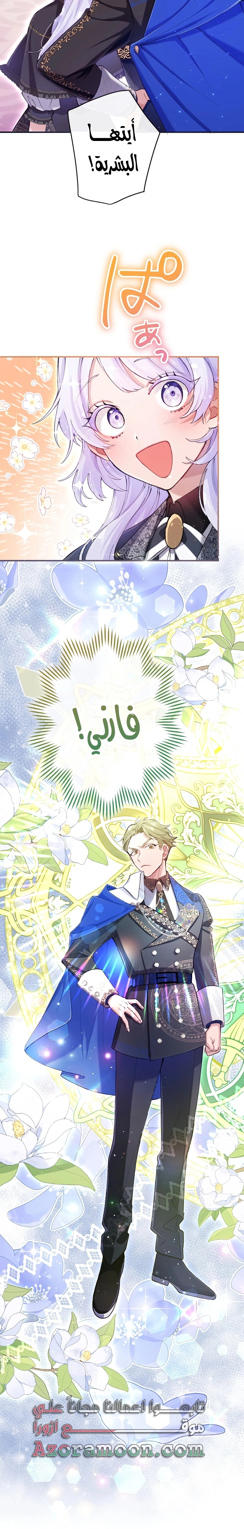 الصفحة 17