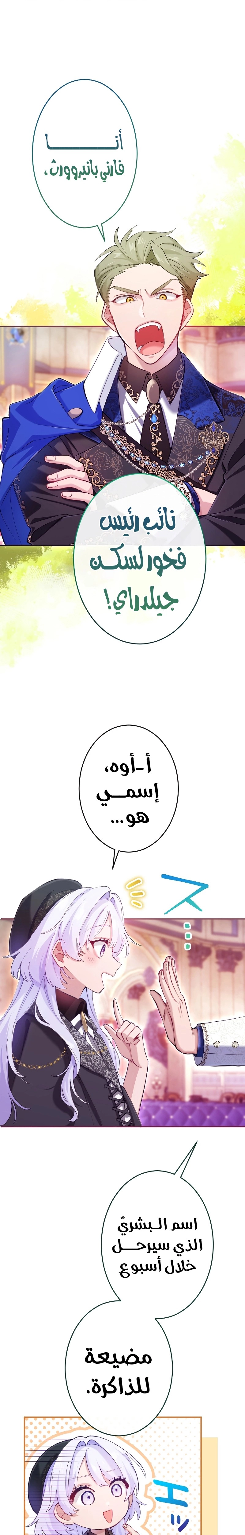 الصفحة 18