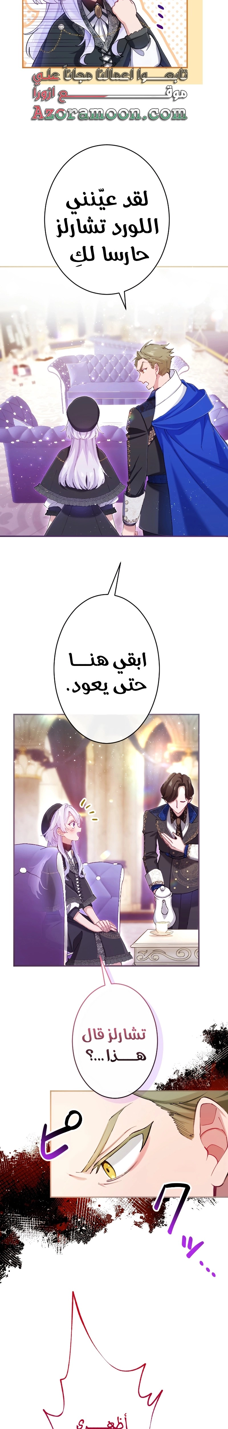 الصفحة 19