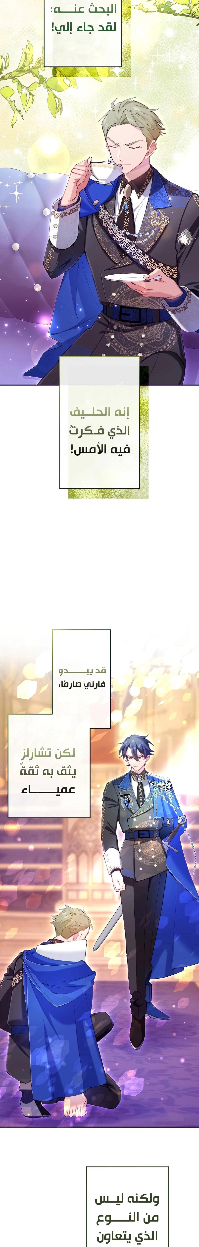 الصفحة 21