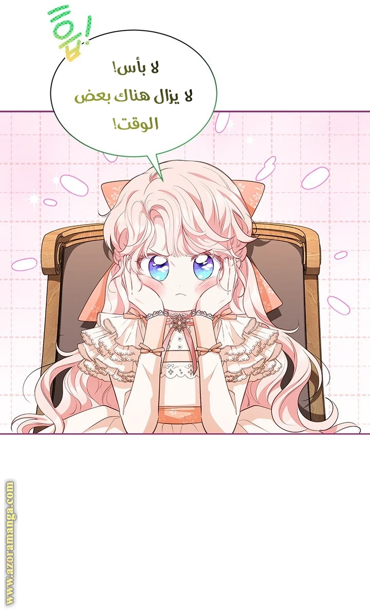 الصفحة 25