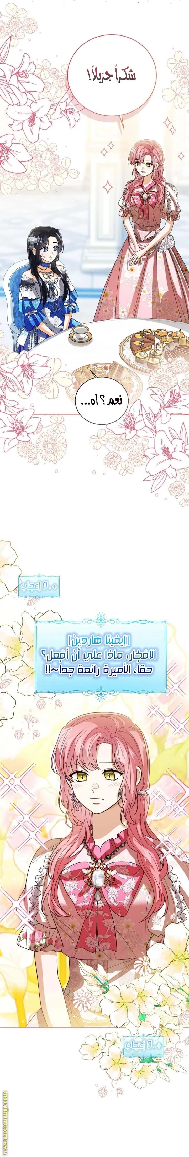 الصفحة 19
