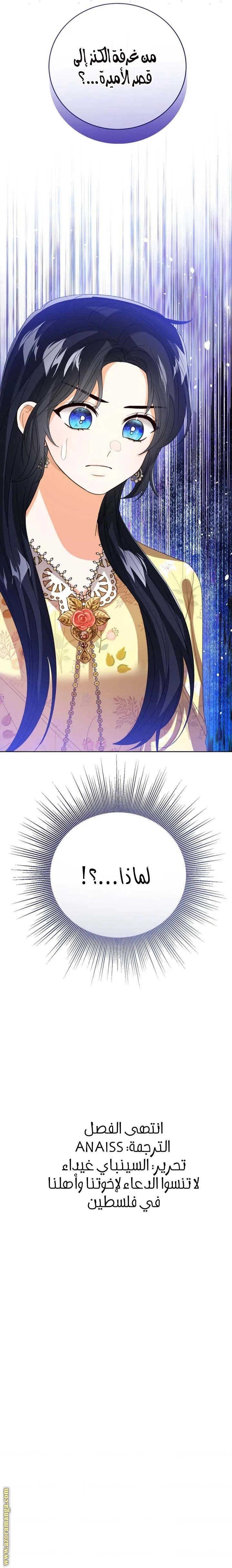 الصفحة 29