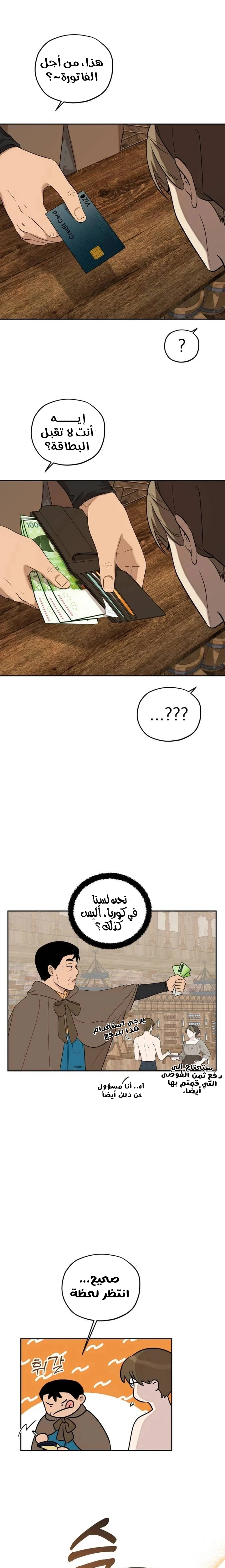 الصفحة 13