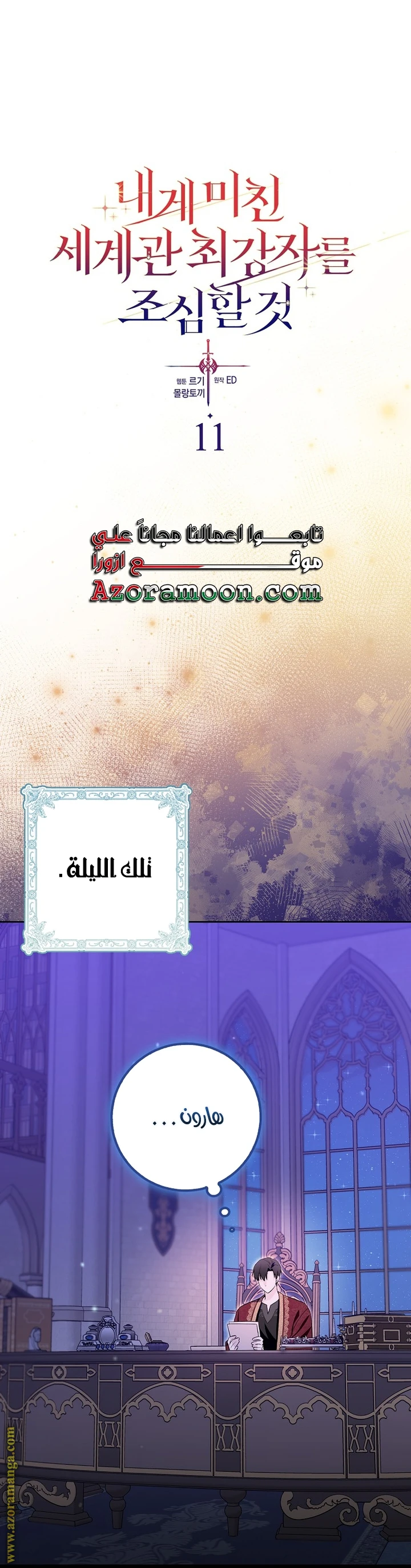الصفحة 13