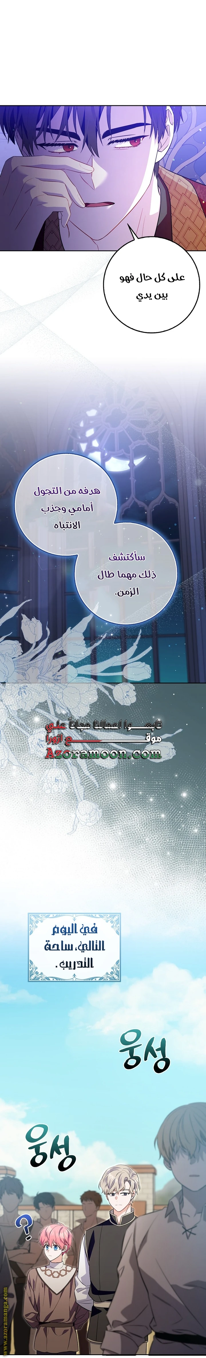 الصفحة 17