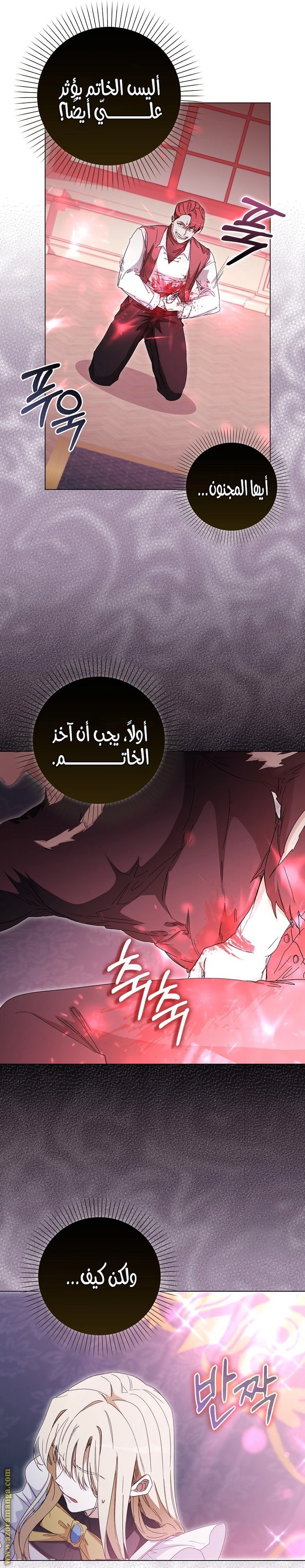 الصفحة 17