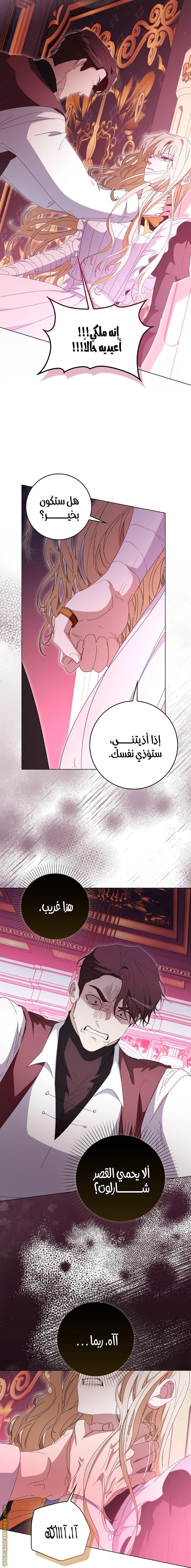 الصفحة 26