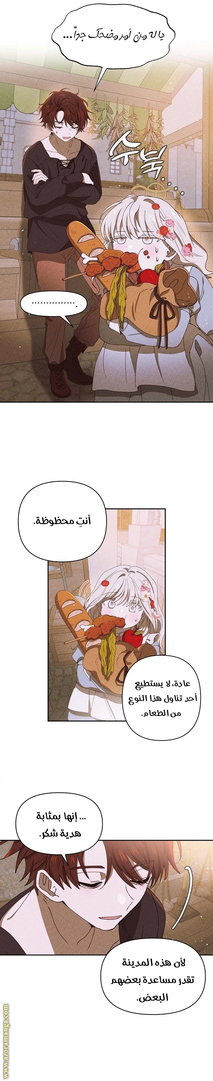 الصفحة 17