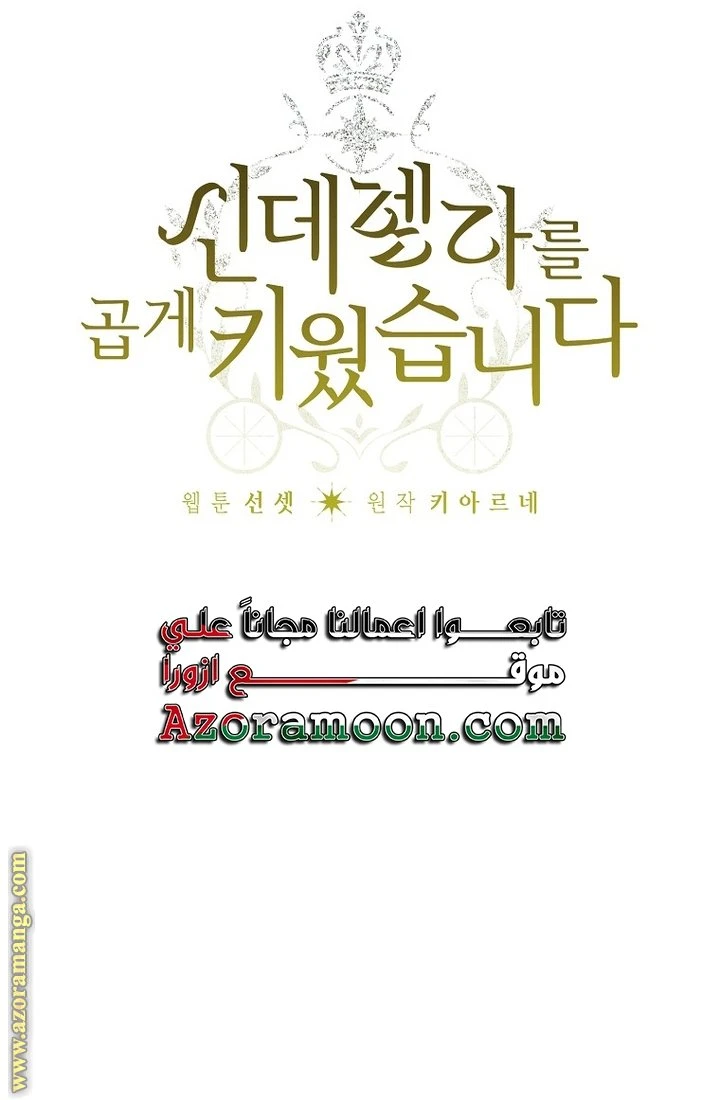 الصفحة 21