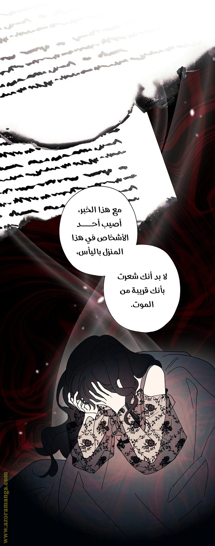 الصفحة 25
