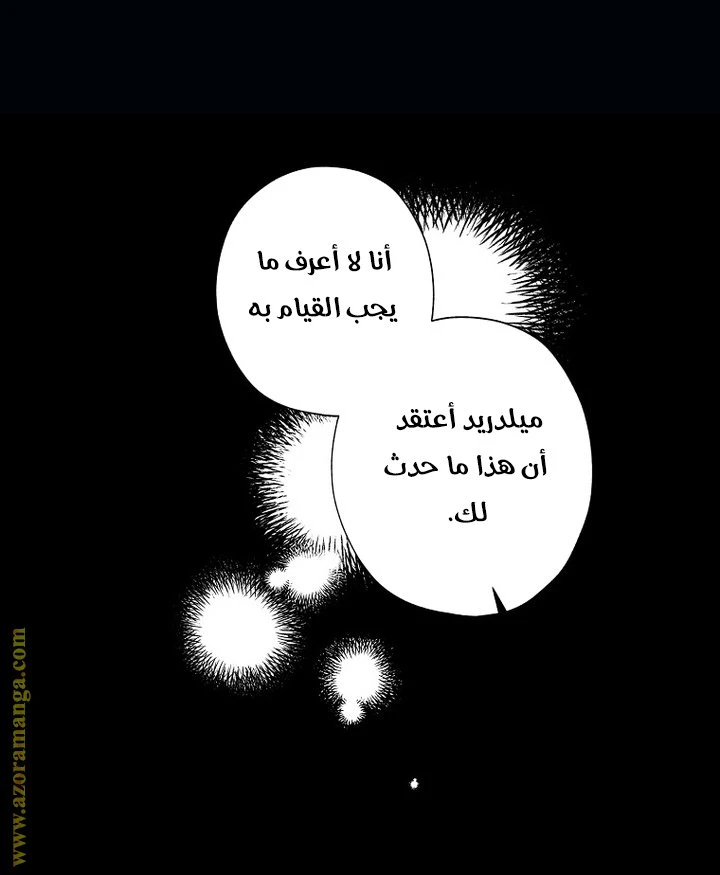 الصفحة 26