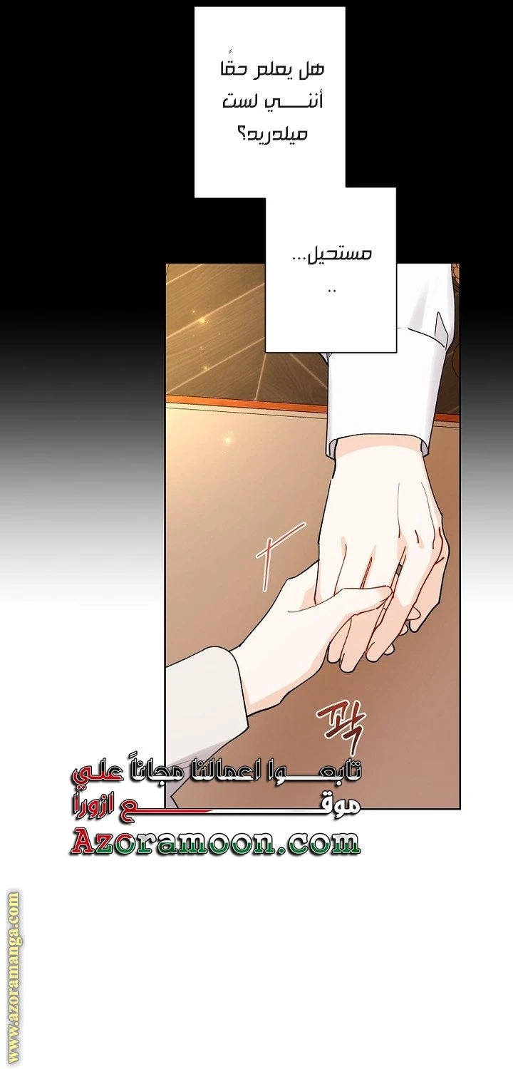 الصفحة 28