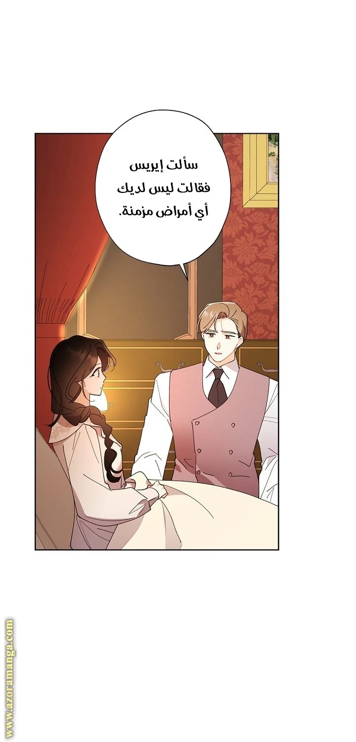 الصفحة 29