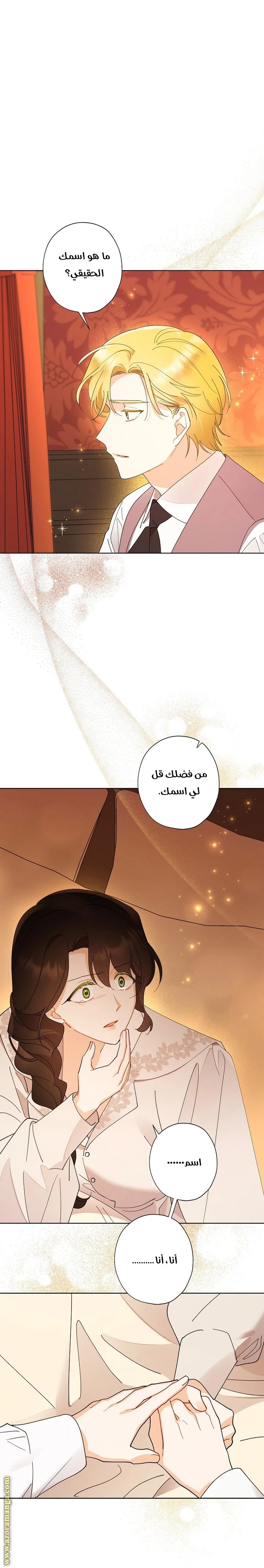 الصفحة 46