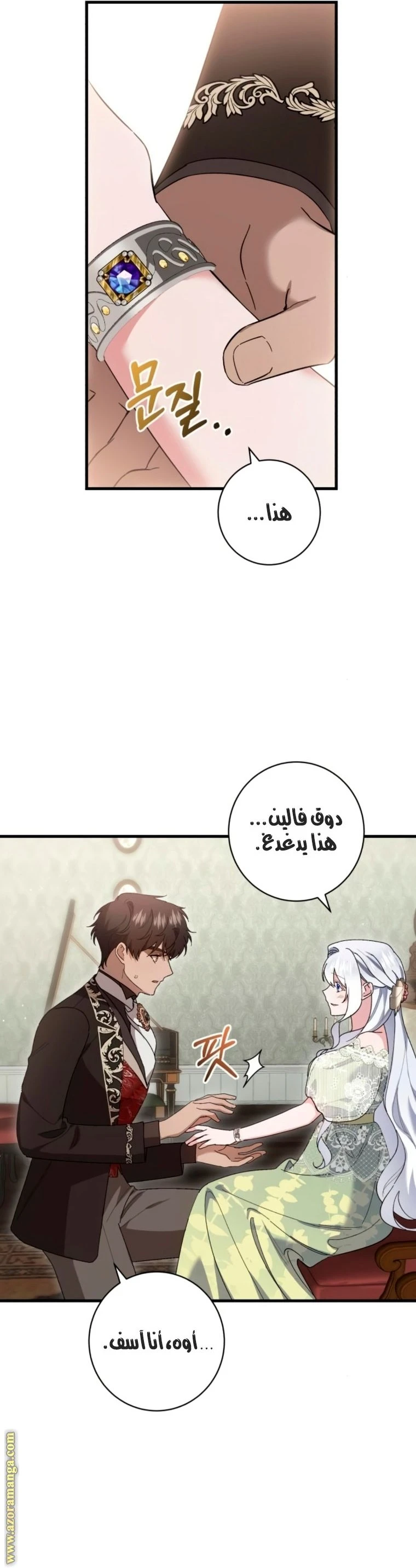 الصفحة 17
