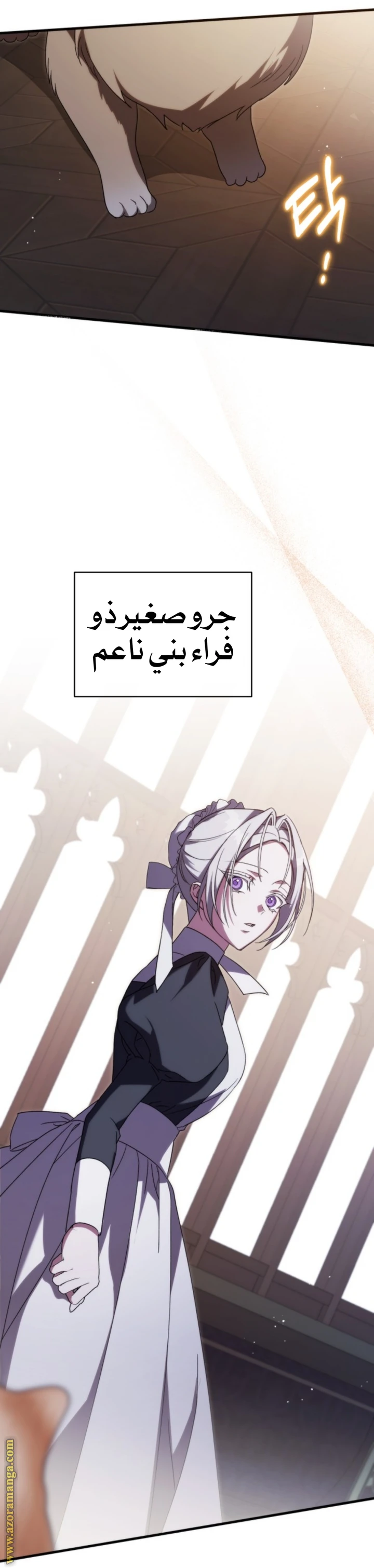 الصفحة 16
