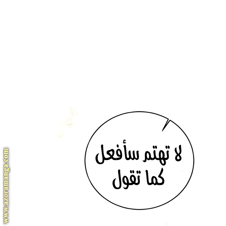 الصفحة 40
