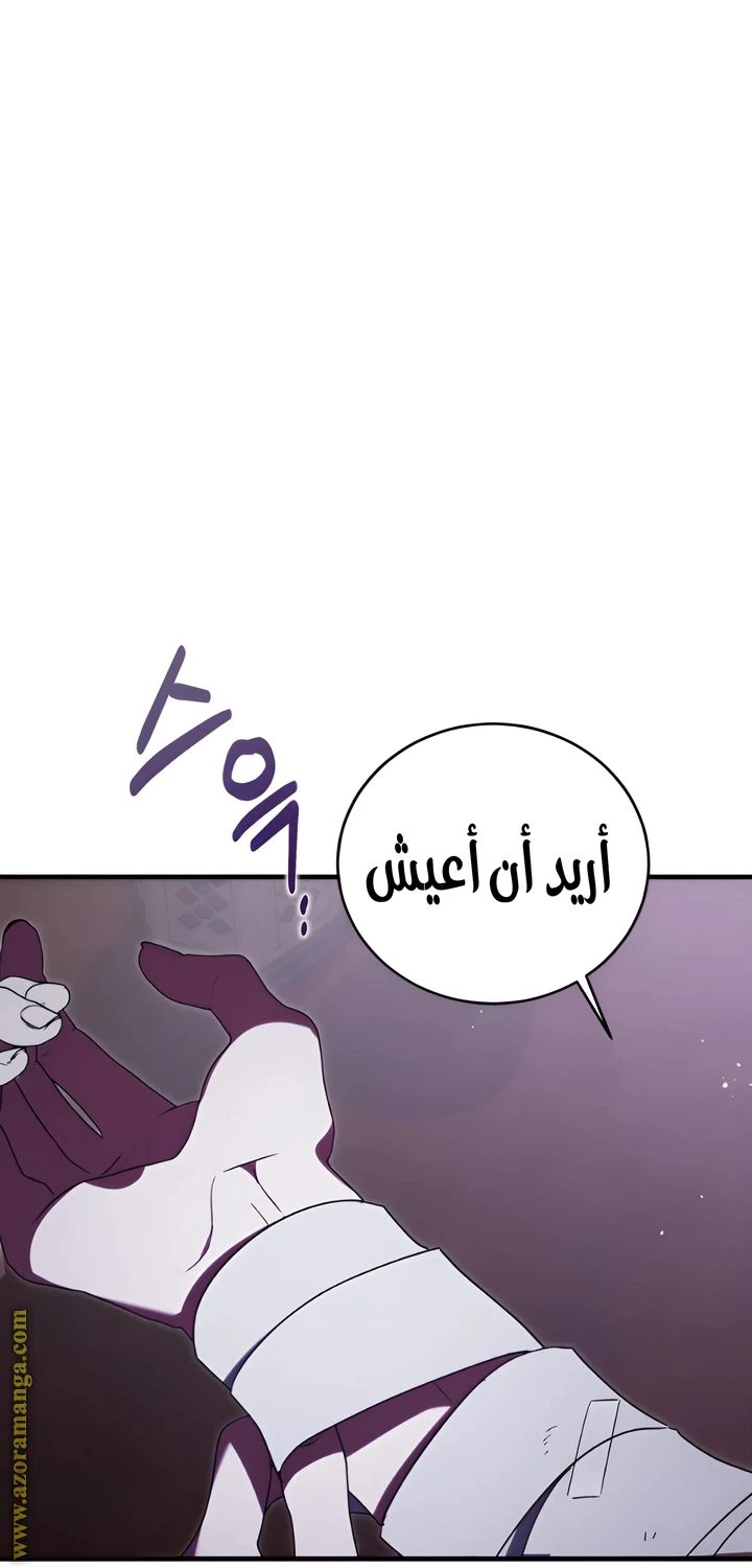 الصفحة 48