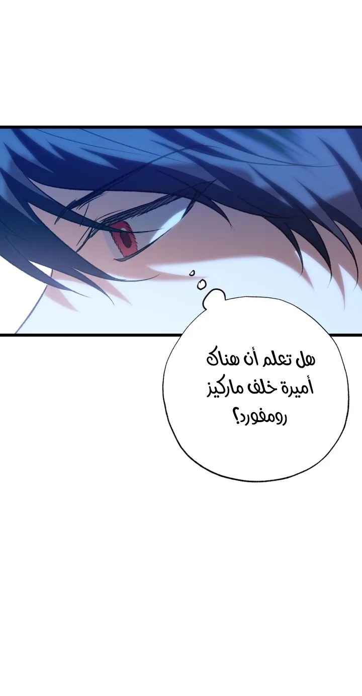 الصفحة 26