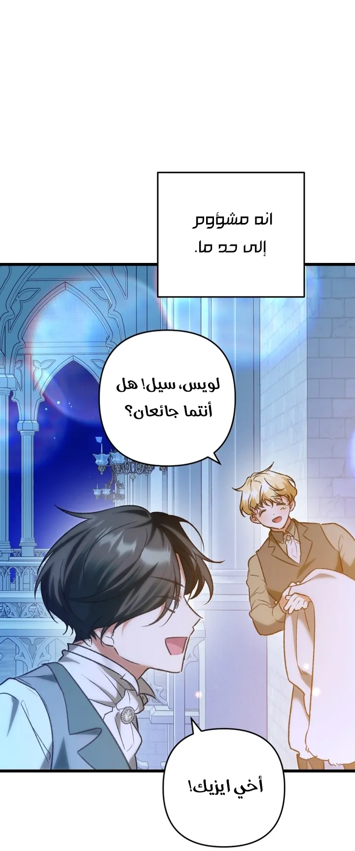الصفحة 41