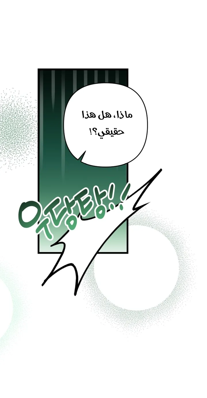 الصفحة 48