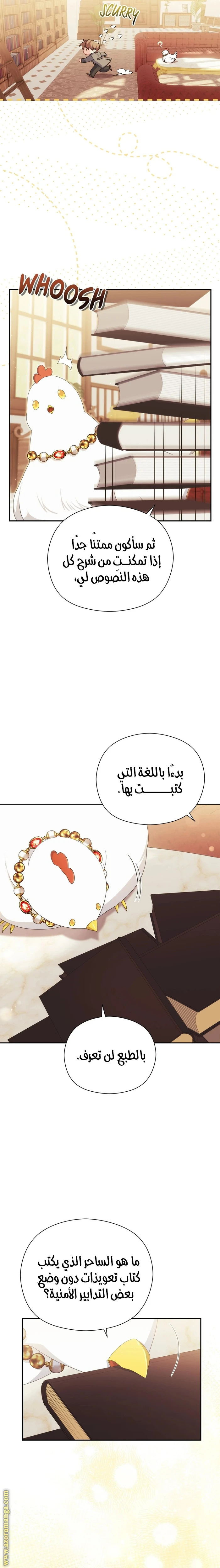 الصفحة 11