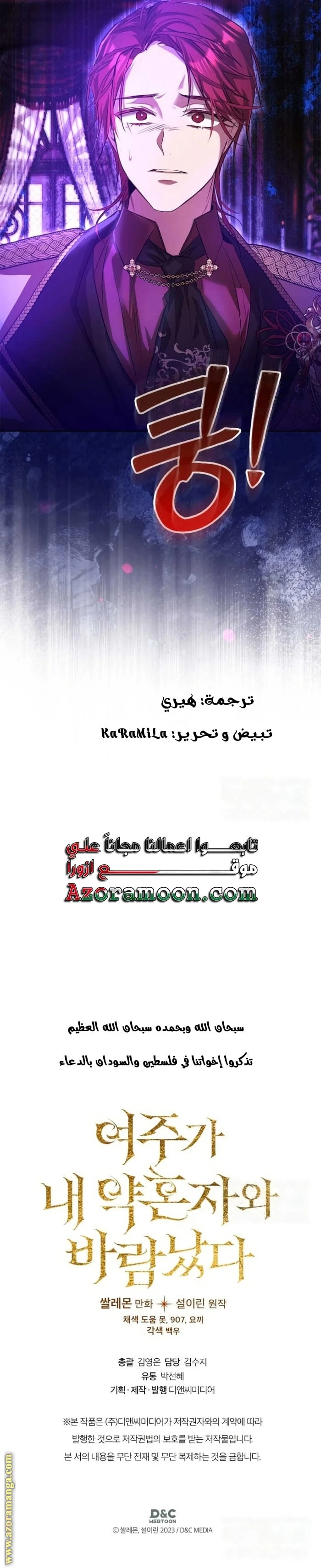 الصفحة 13