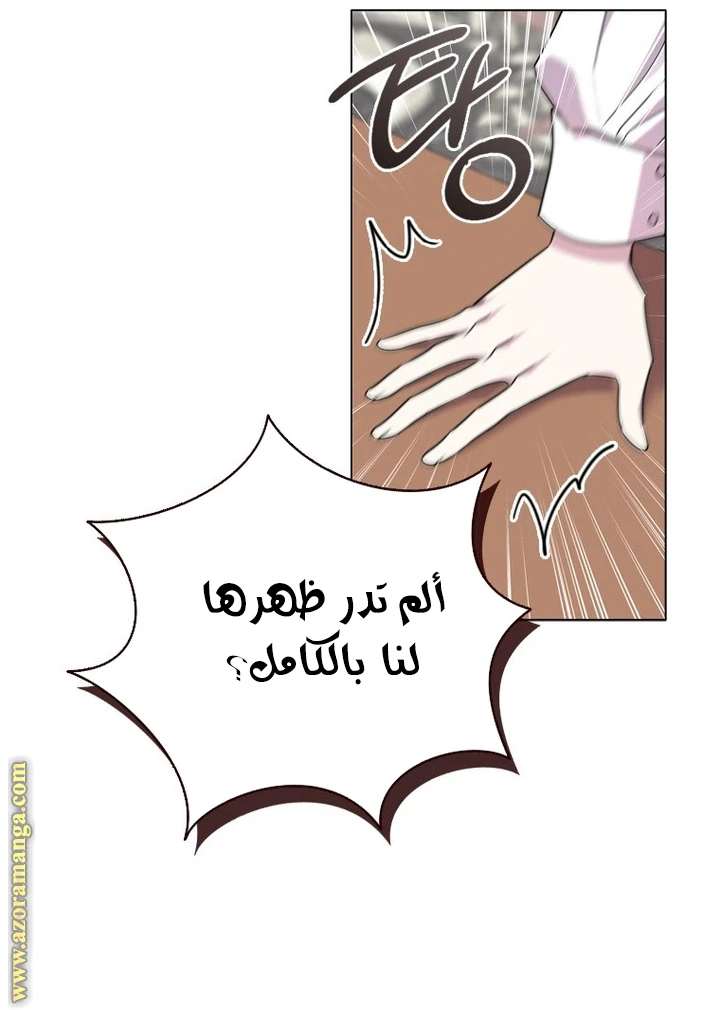 الصفحة 38