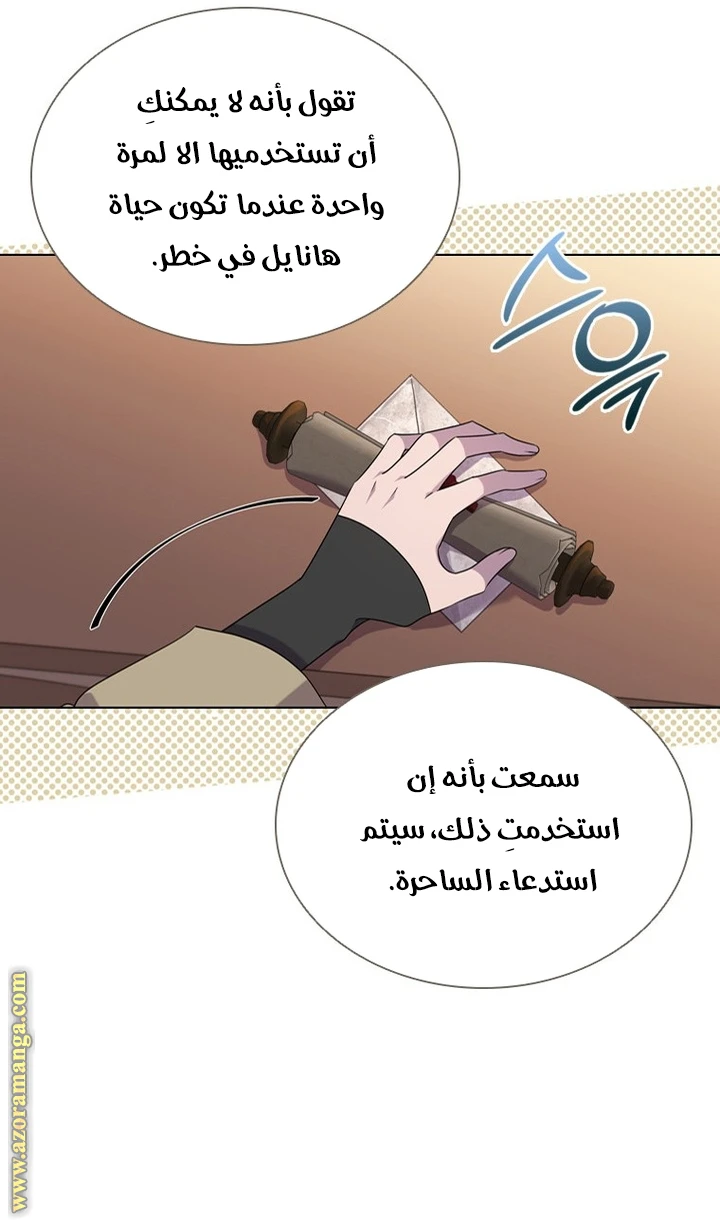 الصفحة 42