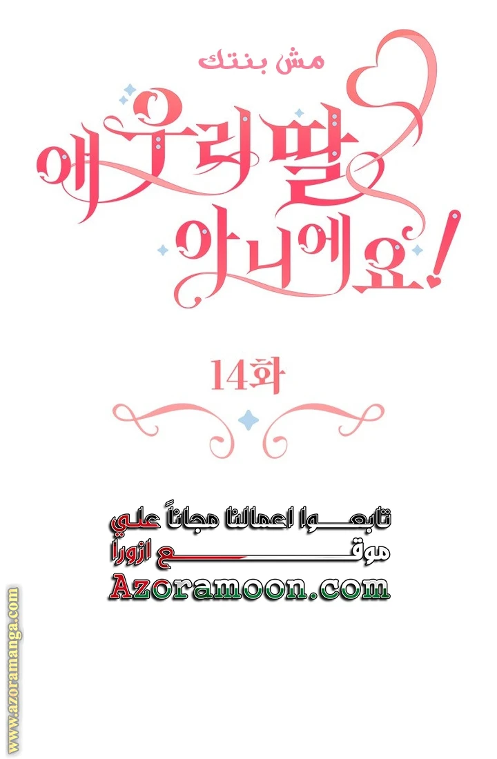 الصفحة 51