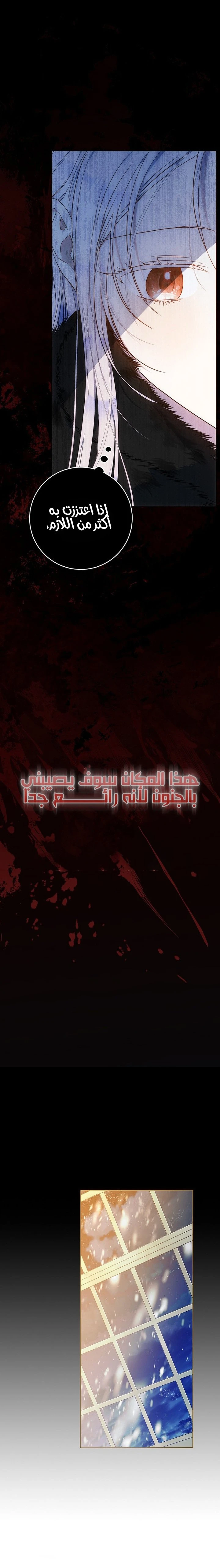 الصفحة 15