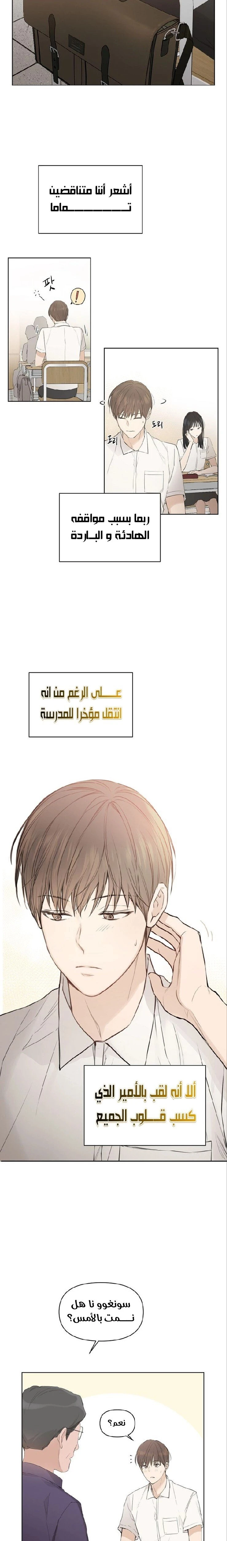 الصفحة 3