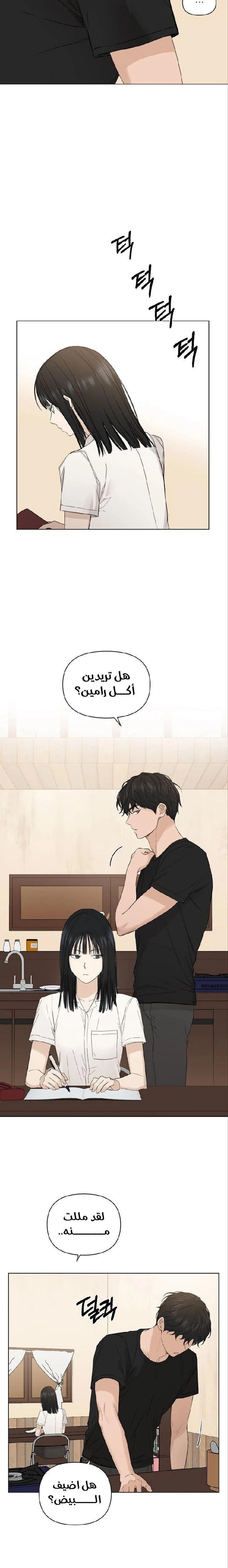 الصفحة 24
