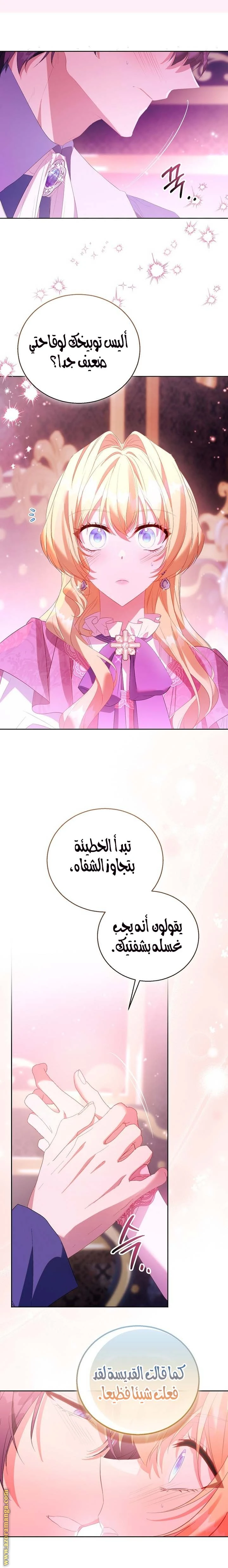 الصفحة 17