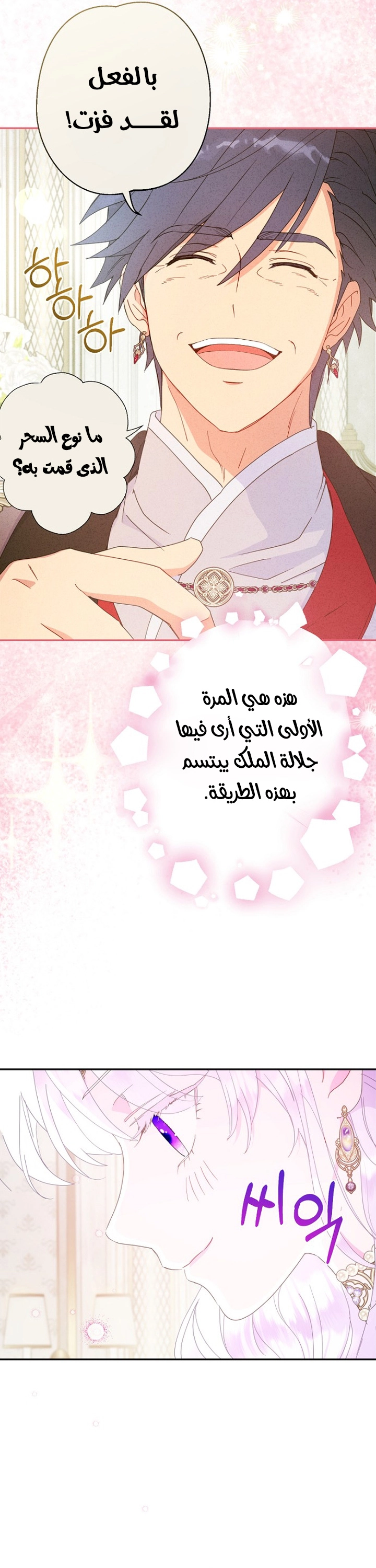 الصفحة 26