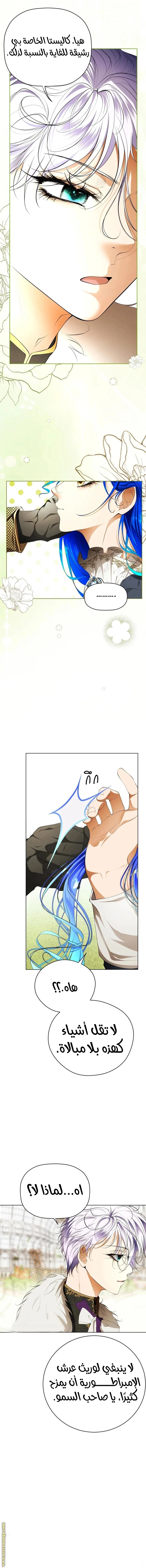 الصفحة 11