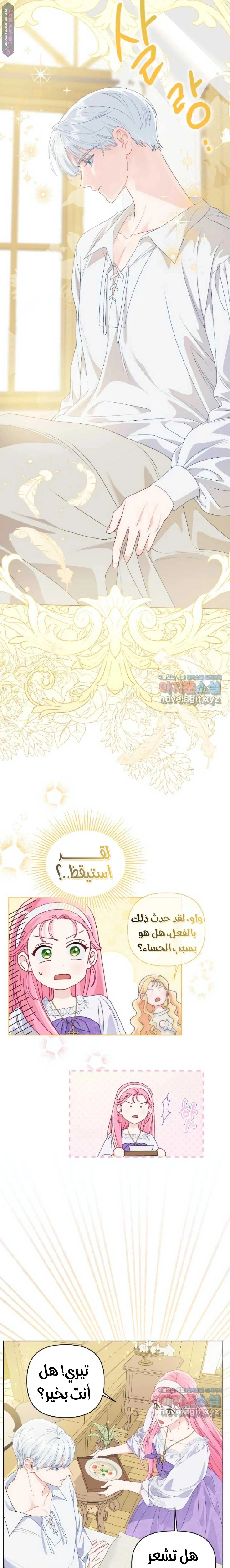 الصفحة 5