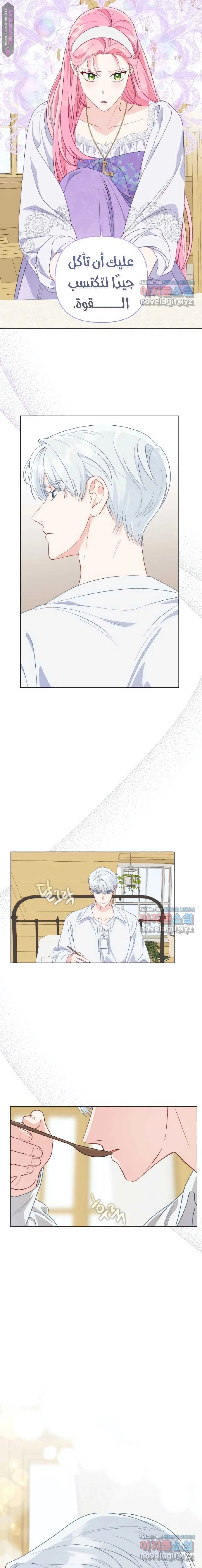 الصفحة 8