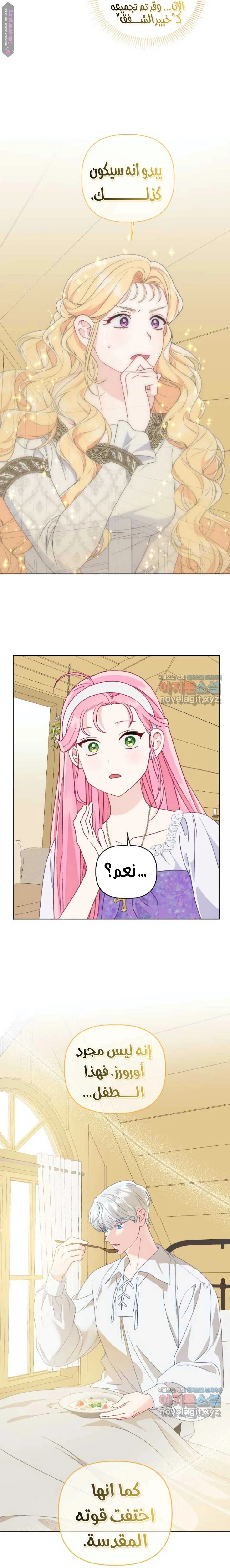 الصفحة 11