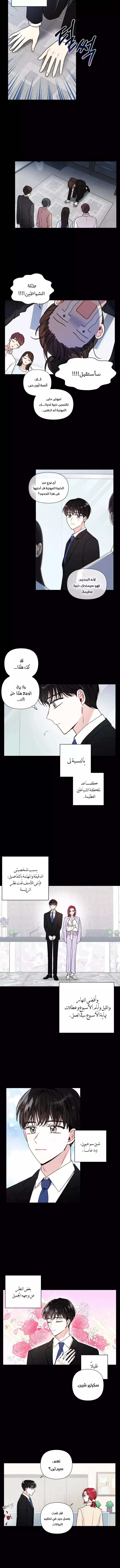 الصفحة 5