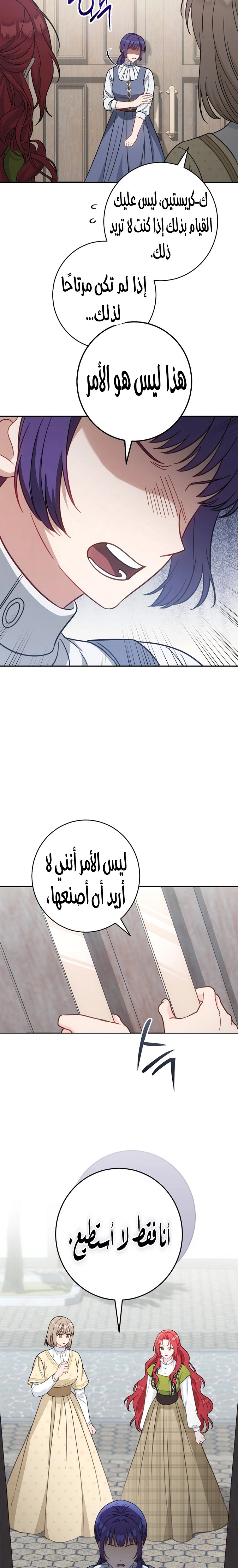الصفحة 25