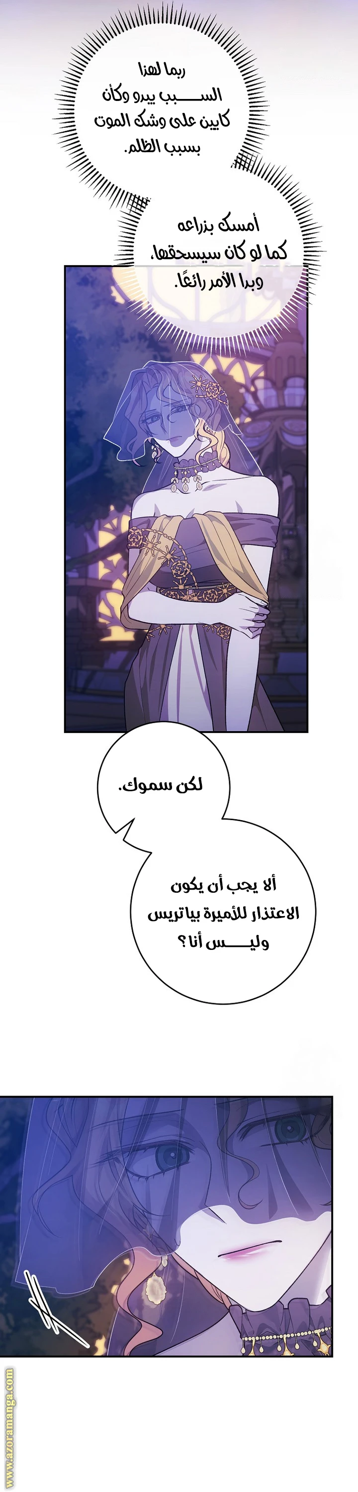الصفحة 24