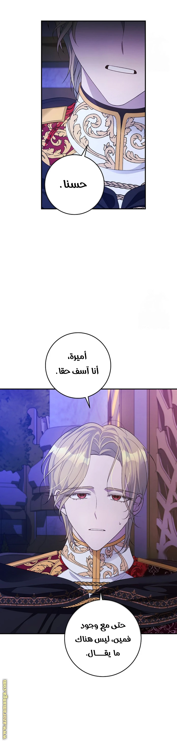 الصفحة 25